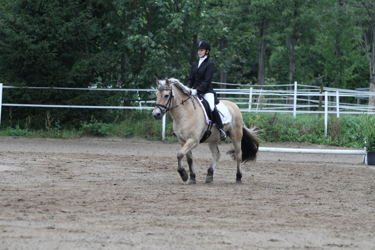 Bild 434 - WBO-Turnier am 18.9.11